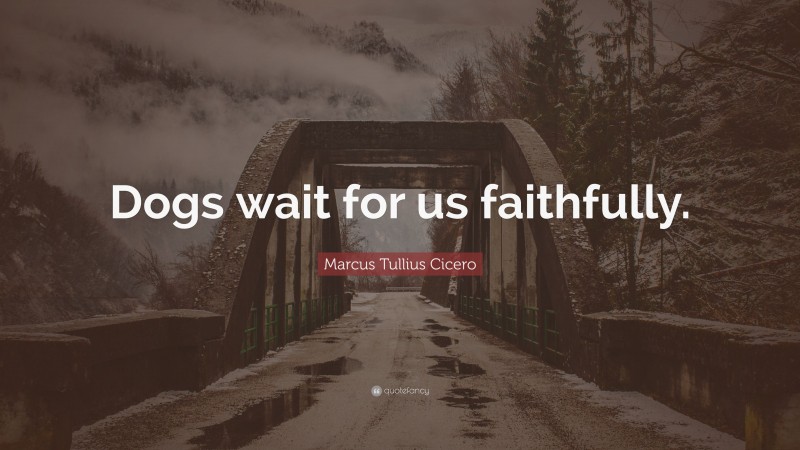 Marcus Tullius Cicero Quote: “Dogs wait for us faithfully.”