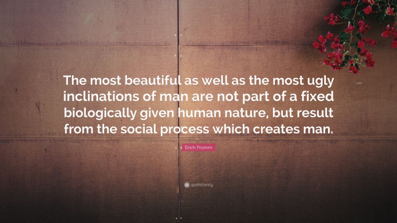 Erich Fromm Quote: “The most beautiful as well as the most ugly inclinations of man are not part of a fixed biologically given human nature, but result from the social process which creates man.”