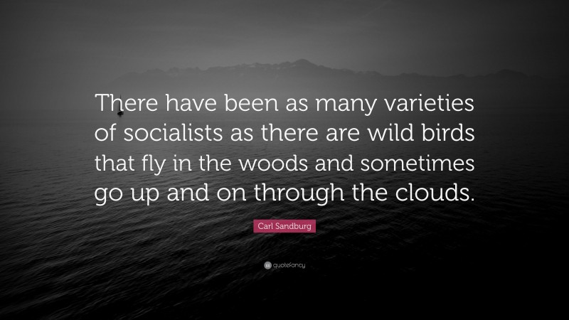 Carl Sandburg Quote: “There have been as many varieties of socialists as there are wild birds that fly in the woods and sometimes go up and on through the clouds.”