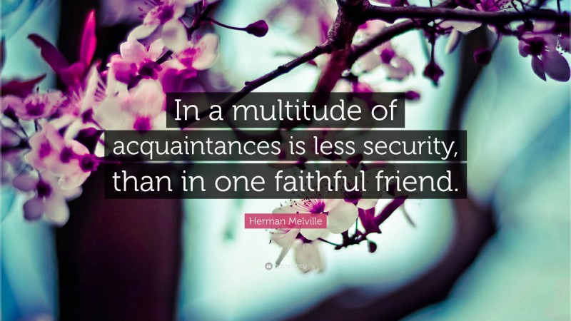 Herman Melville Quote: “In a multitude of acquaintances is less security, than in one faithful friend.”