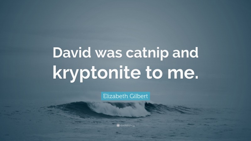 Elizabeth Gilbert Quote: “David was catnip and kryptonite to me.”