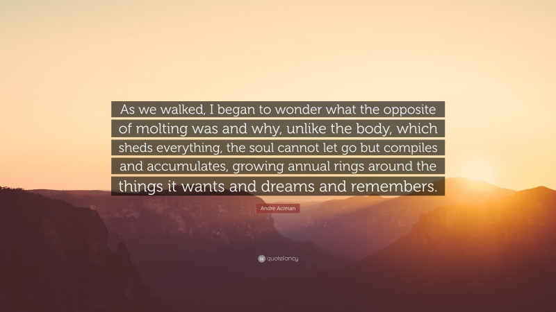 André Aciman Quote: “As we walked, I began to wonder what the opposite of molting was and why, unlike the body, which sheds everything, the soul cannot let go but compiles and accumulates, growing annual rings around the things it wants and dreams and remembers.”