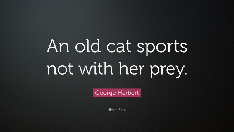 George Herbert Quote: “An old cat sports not with her prey.”