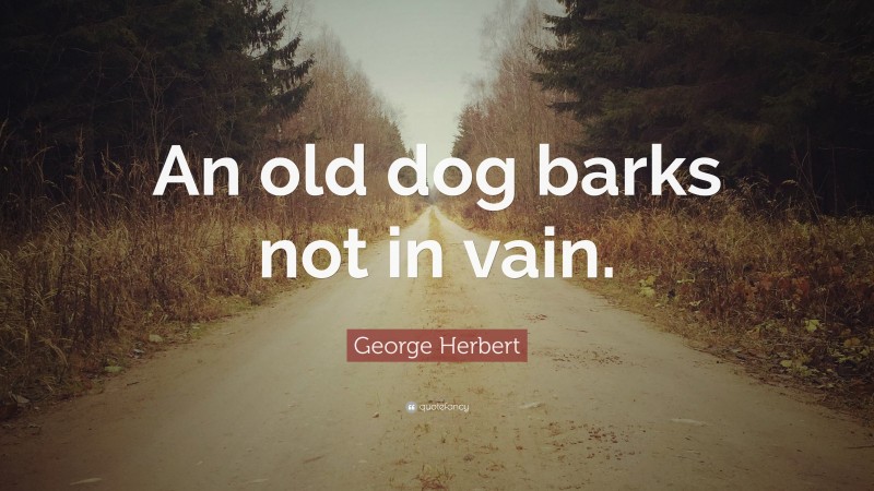 George Herbert Quote: “An old dog barks not in vain.”
