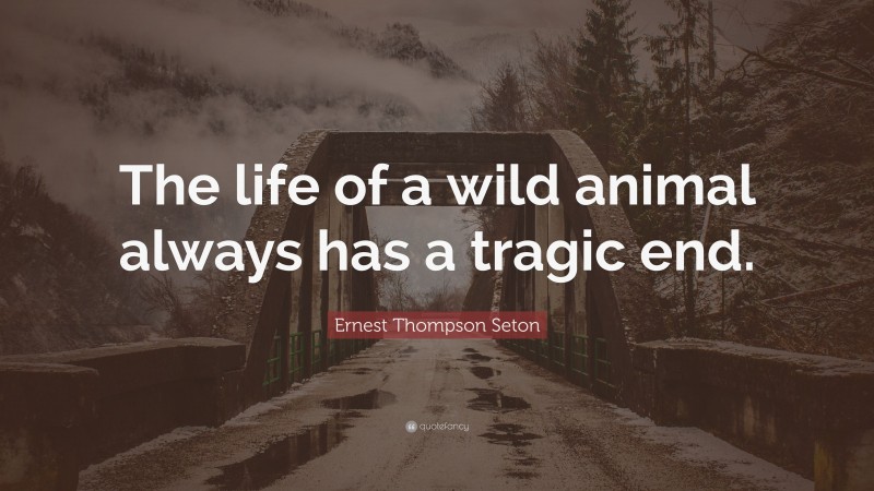 Ernest Thompson Seton Quote: “The life of a wild animal always has a tragic end.”