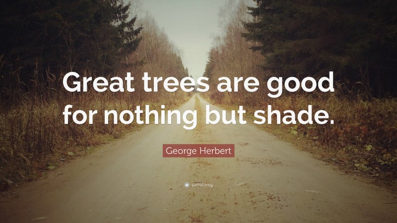 George Herbert Quote: “Great trees are good for nothing but shade.”