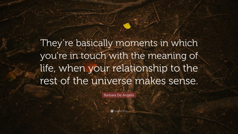 Barbara De Angelis Quote: “They’re basically moments in which you’re in touch with the meaning of life, when your relationship to the rest of the universe makes sense.”