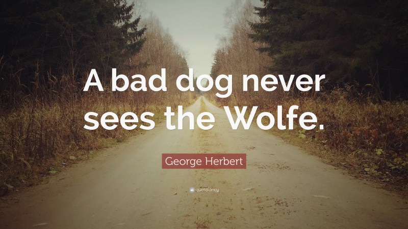 George Herbert Quote: “A bad dog never sees the Wolfe.”