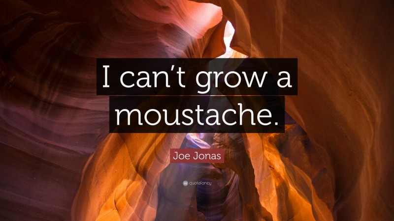 Joe Jonas Quote: “I can’t grow a moustache.”