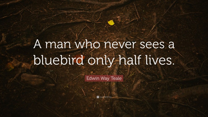 Edwin Way Teale Quote: “A man who never sees a bluebird only half lives.”