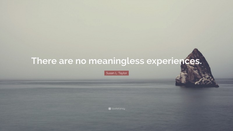 Susan L. Taylor Quote: “There are no meaningless experiences.”