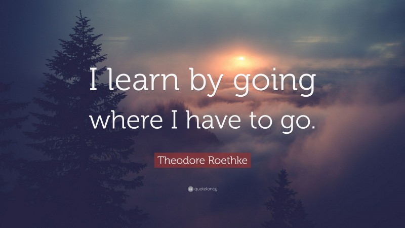 Theodore Roethke Quote: “I learn by going where I have to go.”