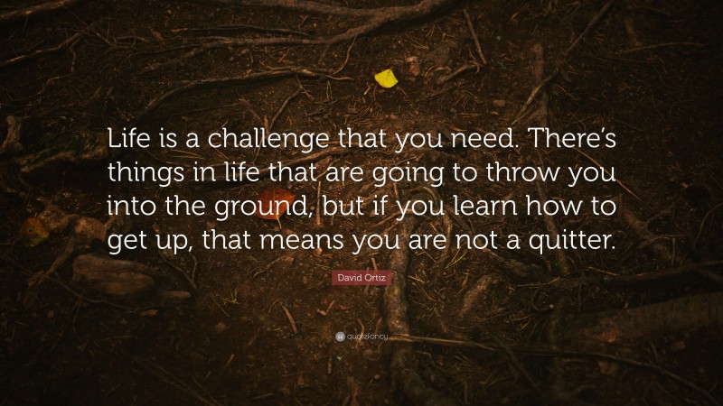 David Ortiz Quote: “Life is a challenge that you need. There’s things in life that are going to throw you into the ground, but if you learn how to get up, that means you are not a quitter.”