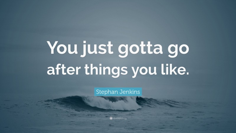 Stephan Jenkins Quote: “You just gotta go after things you like.”