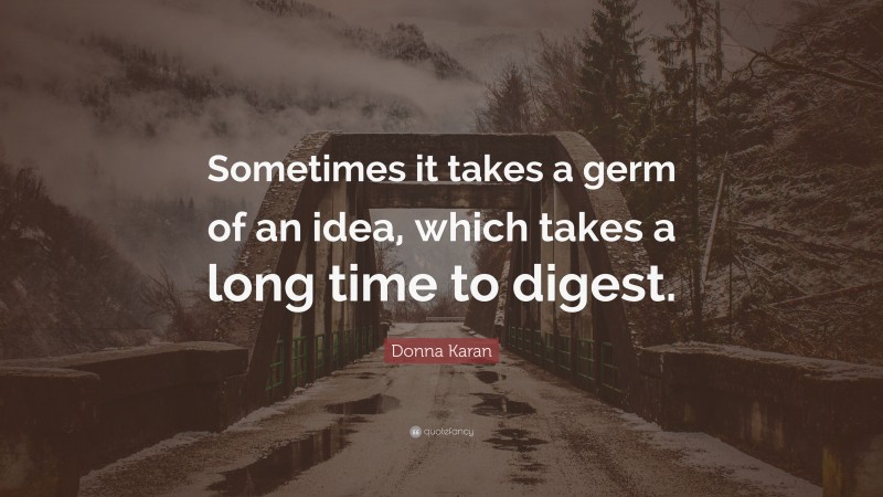 Donna Karan Quote: “Sometimes it takes a germ of an idea, which takes a long time to digest.”
