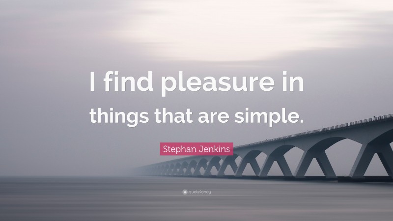 Stephan Jenkins Quote: “I find pleasure in things that are simple.”