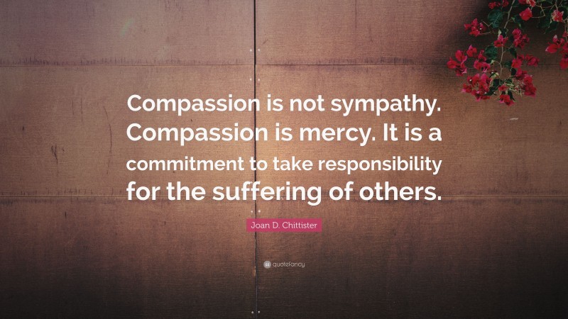 Joan D. Chittister Quote: “Compassion is not sympathy. Compassion is mercy. It is a commitment to take responsibility for the suffering of others.”