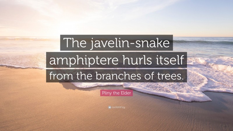 Pliny the Elder Quote: “The javelin-snake amphiptere hurls itself from the branches of trees.”