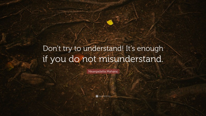 Nisargadatta Maharaj Quote: “Don’t try to understand! It’s enough if you do not misunderstand.”