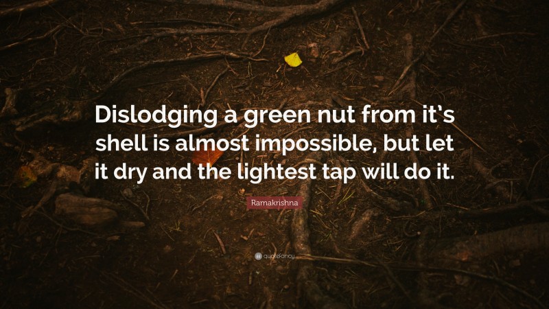 Ramakrishna Quote: “Dislodging a green nut from it’s shell is almost impossible, but let it dry and the lightest tap will do it.”