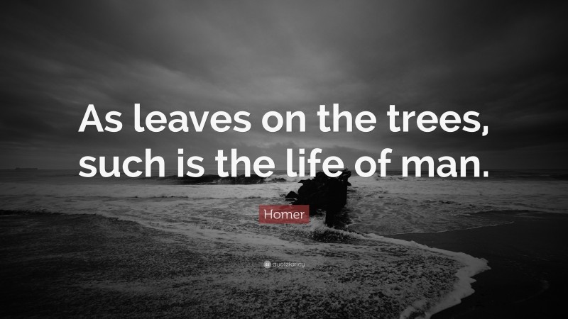 Homer Quote: “As leaves on the trees, such is the life of man.”
