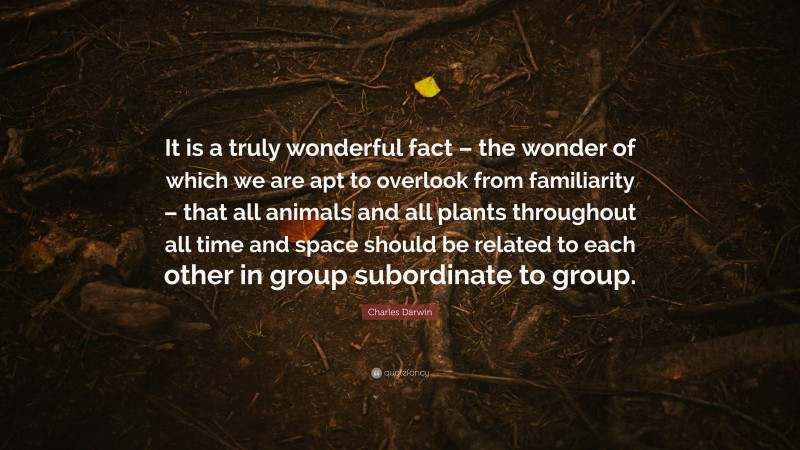 Charles Darwin Quote: “It is a truly wonderful fact – the wonder of which we are apt to overlook from familiarity – that all animals and all plants throughout all time and space should be related to each other in group subordinate to group.”