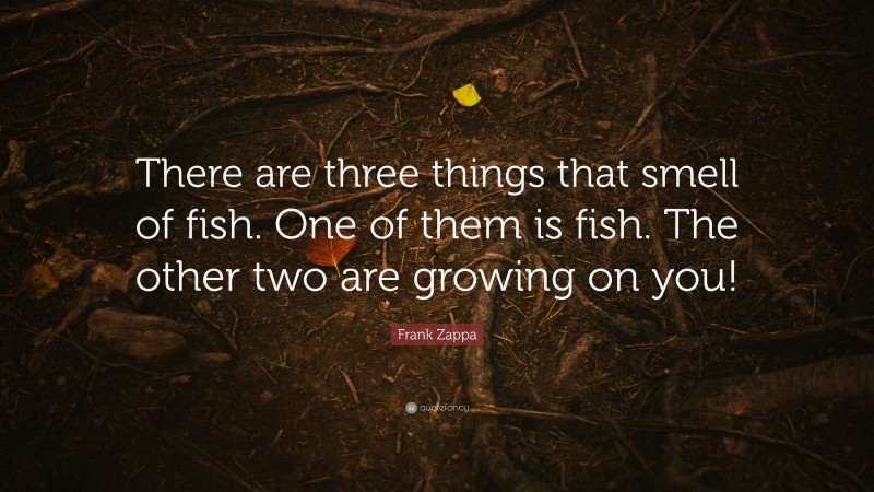 Frank Zappa Quote: “There are three things that smell of fish. One of them is fish. The other two are growing on you!”