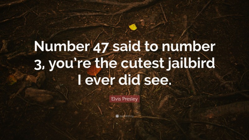 Elvis Presley Quote: “Number 47 said to number 3, you’re the cutest jailbird I ever did see.”