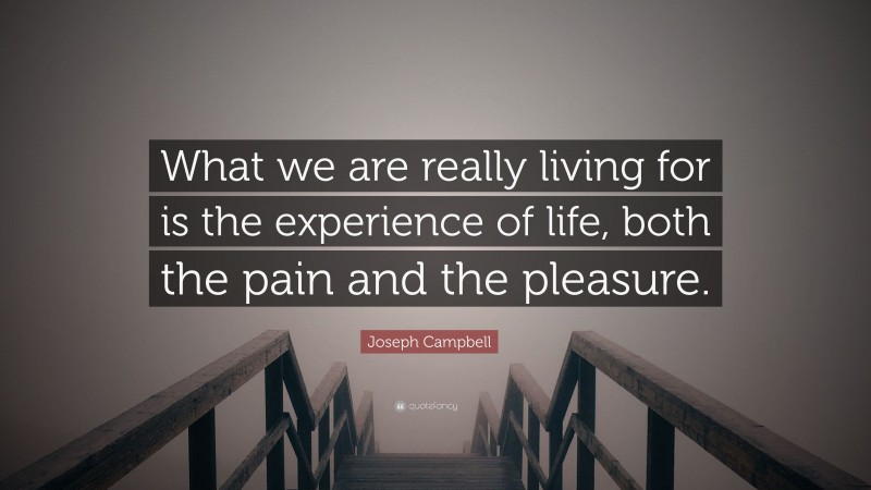 Joseph Campbell Quote: “What we are really living for is the experience of life, both the pain and the pleasure.”