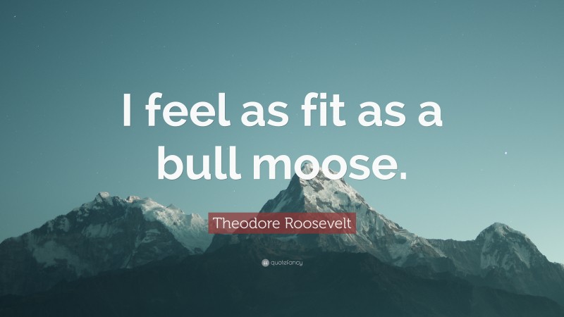 Theodore Roosevelt Quote: “I feel as fit as a bull moose.”