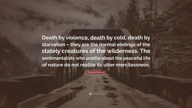 Theodore Roosevelt Quote: “Death by violence, death by cold, death by starvation – they are the normal endings of the stately creatures of the wilderness. The sentimentalists who prattle about the peaceful life of nature do not realize its utter mercilessness.”