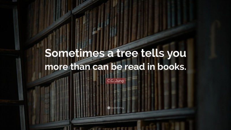 C.G. Jung Quote: “Sometimes a tree tells you more than can be read in books.”