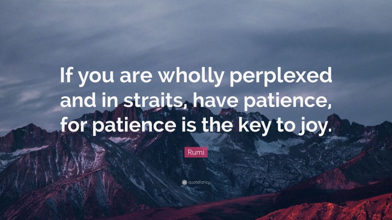 Rumi Quote: “If you are wholly perplexed and in straits, have patience, for patience is the key to joy.”