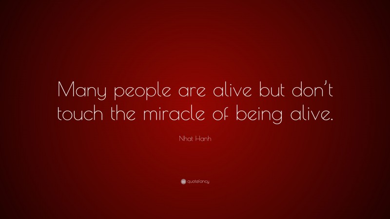 Nhat Hanh Quote: “Many people are alive but don’t touch the miracle of being alive.”