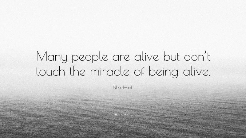 Nhat Hanh Quote: “Many people are alive but don’t touch the miracle of being alive.”