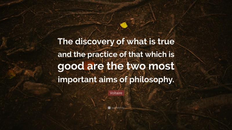 Voltaire Quote: “The discovery of what is true and the practice of that which is good are the two most important aims of philosophy.”
