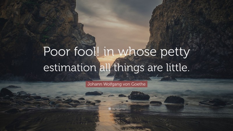Johann Wolfgang von Goethe Quote: “Poor fool! in whose petty estimation all things are little.”