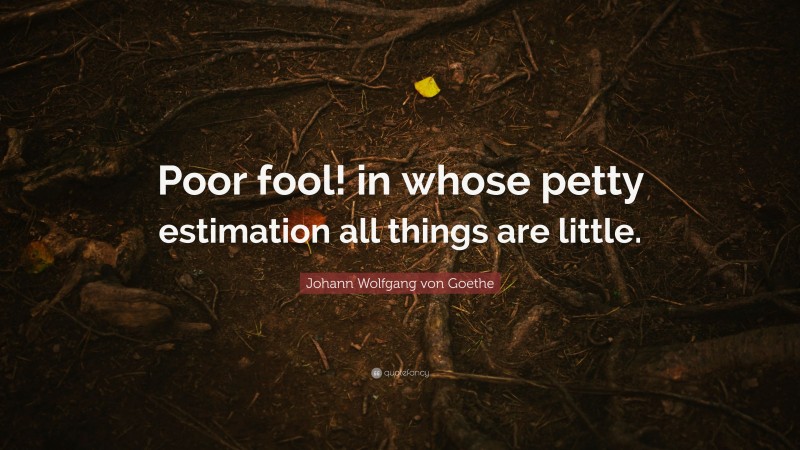 Johann Wolfgang von Goethe Quote: “Poor fool! in whose petty estimation all things are little.”