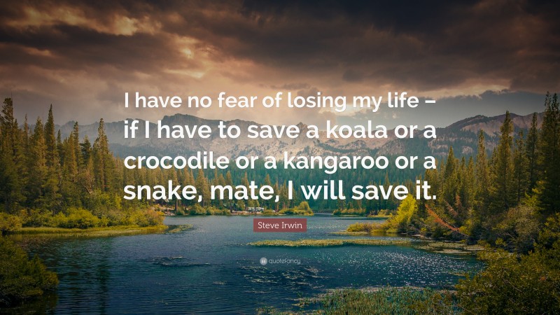 Steve Irwin Quote: “I have no fear of losing my life – if I have to save a koala or a crocodile or a kangaroo or a snake, mate, I will save it.”