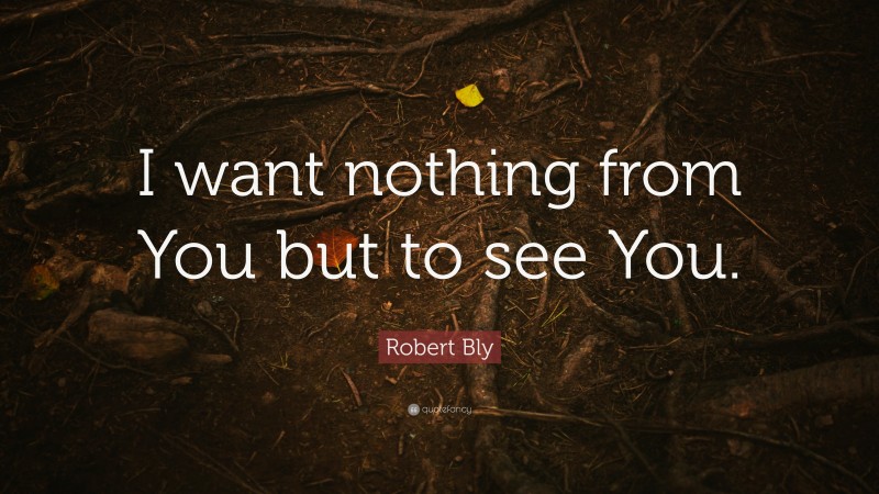 Robert Bly Quote: “I want nothing from You but to see You.”