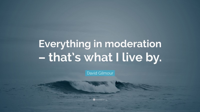 David Gilmour Quote: “Everything in moderation – that’s what I live by.”