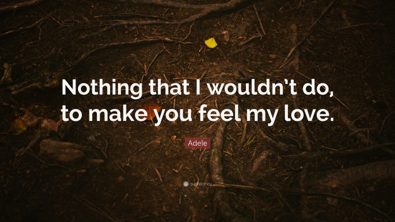 Adele Quote: “Nothing that I wouldn’t do, to make you feel my love.”