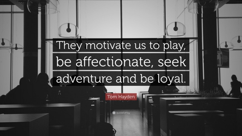 Tom Hayden Quote: “They motivate us to play, be affectionate, seek adventure and be loyal.”