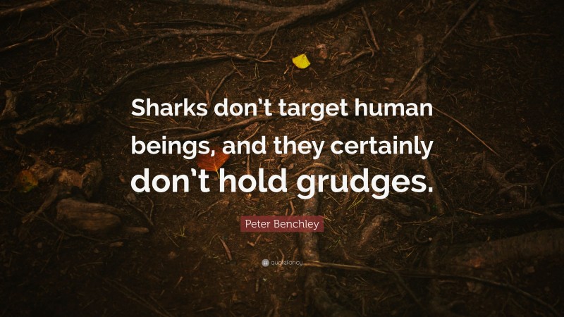 Peter Benchley Quote: “Sharks don’t target human beings, and they certainly don’t hold grudges.”