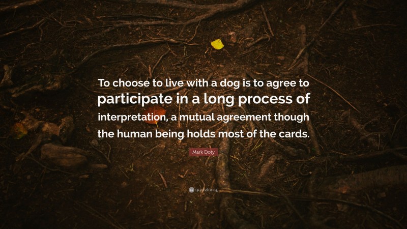 Mark Doty Quote: “To choose to live with a dog is to agree to participate in a long process of interpretation, a mutual agreement though the human being holds most of the cards.”