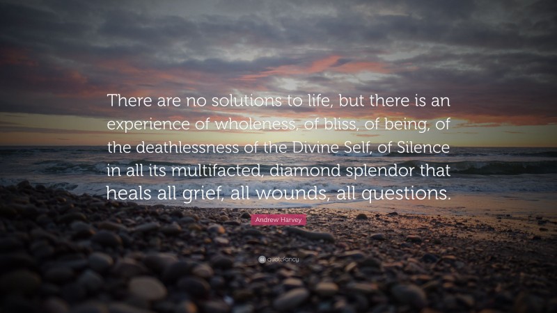 Andrew Harvey Quote: “There are no solutions to life, but there is an experience of wholeness, of bliss, of being, of the deathlessness of the Divine Self, of Silence in all its multifacted, diamond splendor that heals all grief, all wounds, all questions.”