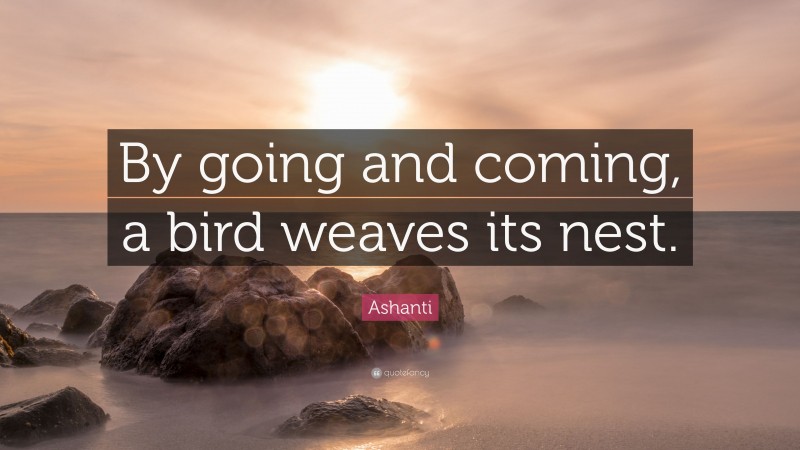Ashanti Quote: “By going and coming, a bird weaves its nest.”