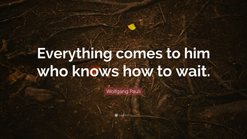 Wolfgang Pauli Quote: “Everything comes to him who knows how to wait.”