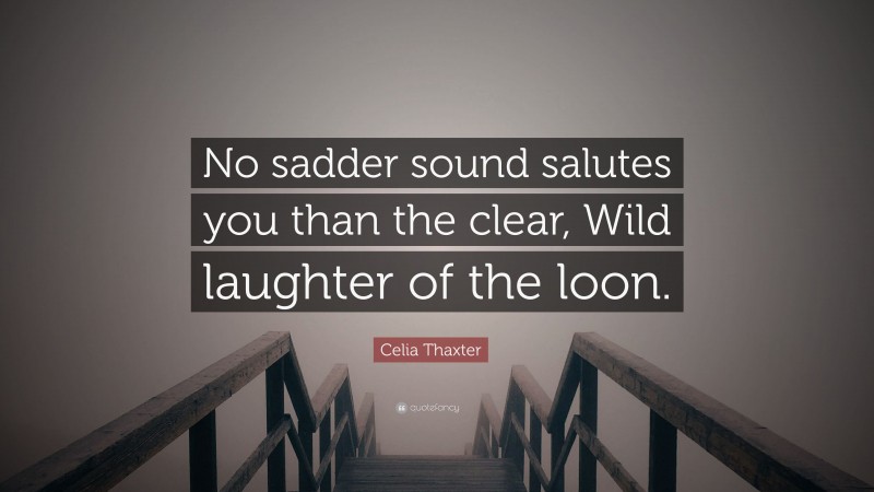 Celia Thaxter Quote: “No sadder sound salutes you than the clear, Wild laughter of the loon.”