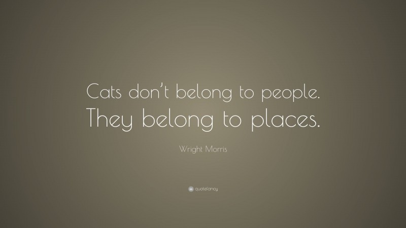 Wright Morris Quote: “Cats don’t belong to people. They belong to places.”